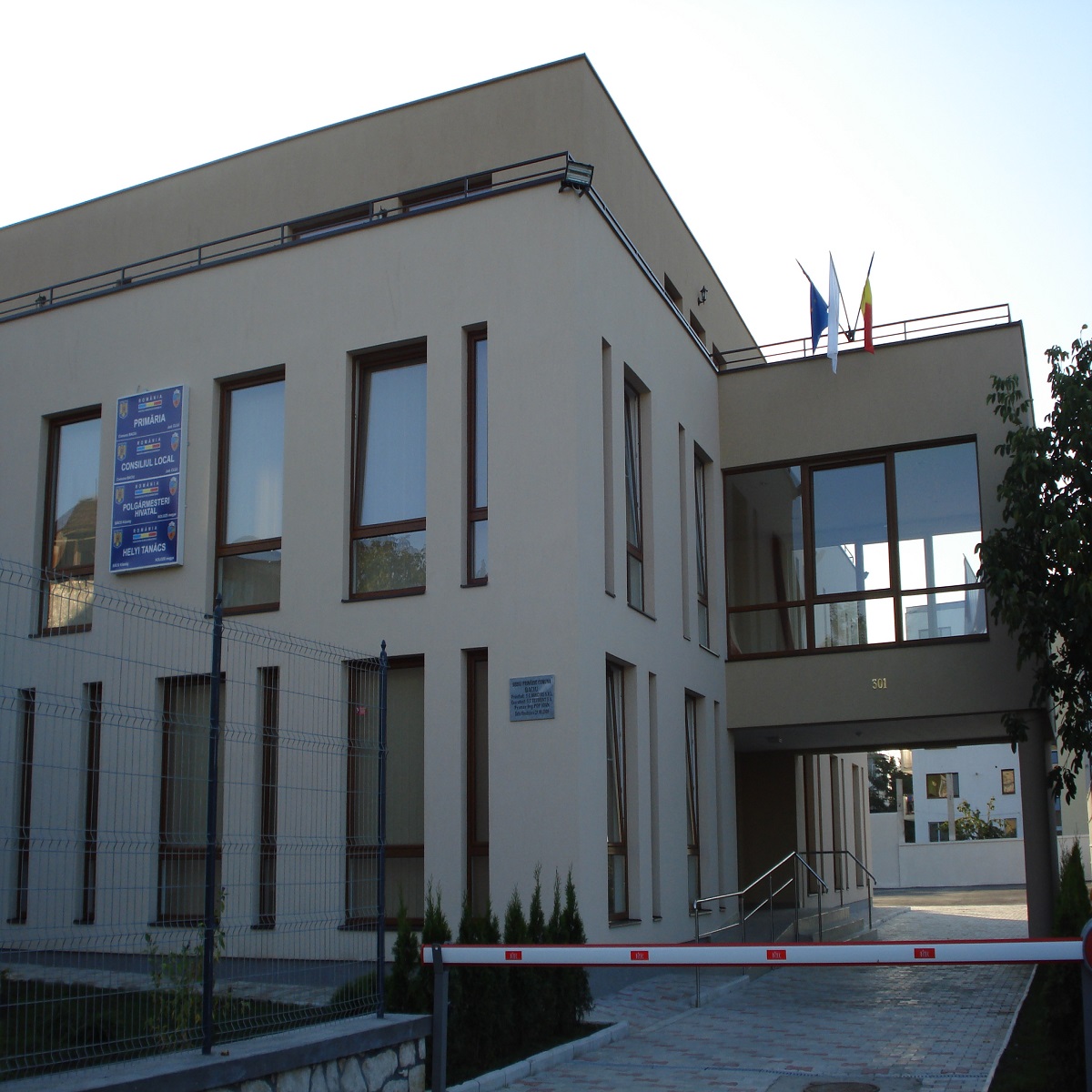 1 Primaria Baciu